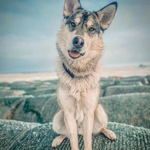 Meet your Posher, Kelsey